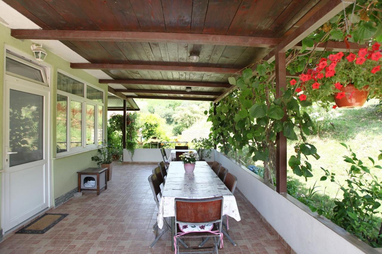 בפורטורוז Bozena Studio Kneb מראה חיצוני תמונה